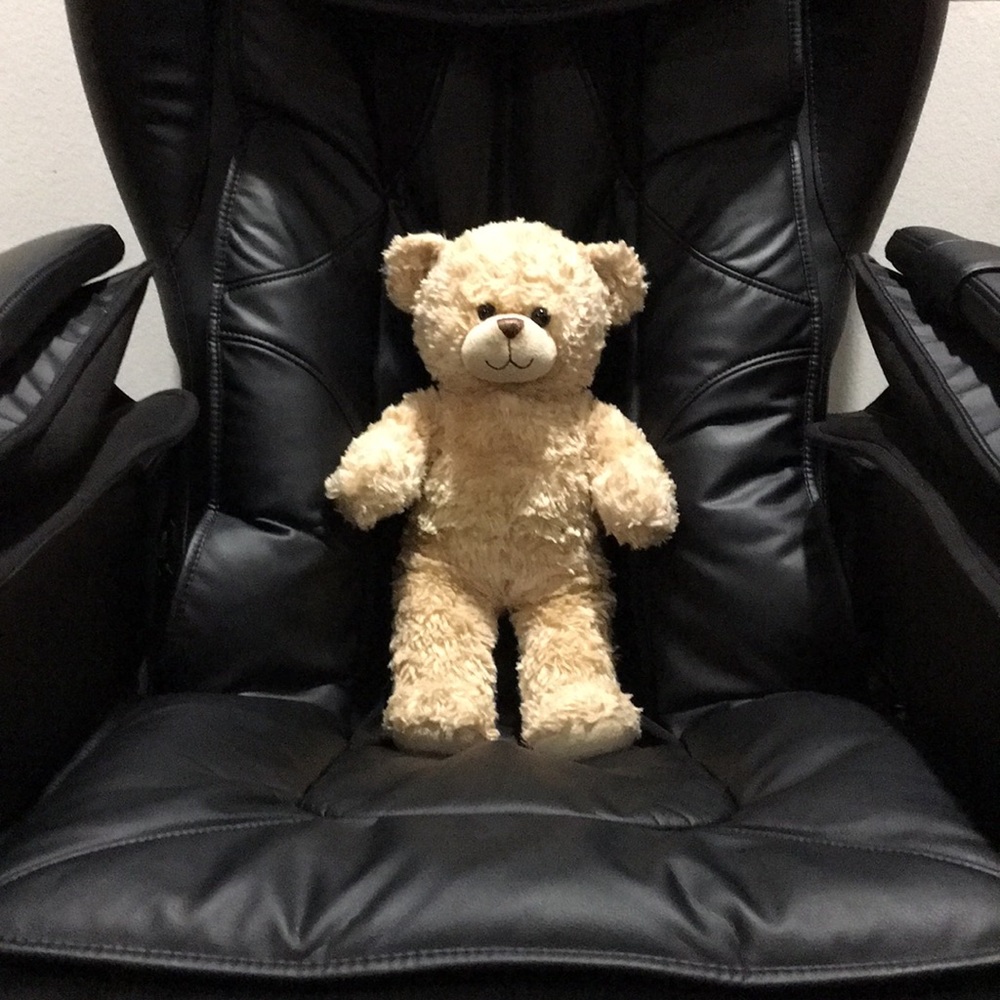 ❣️ BUILD-A-BEAR ❣️ COLLECTION GORGEOUS FLUFFY BEAR PLUSH ( NWOT ) .